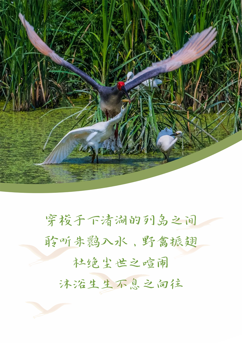 إ ʹwelcome | Լ إص